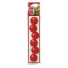 Kong Squeakers 6 ST