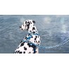 Morso Hondenriem Verstelbaar Gerecycled Splash Blauw 75-230X1,5 CM 1-4 KG