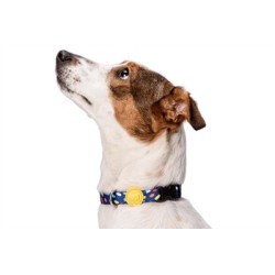 Morso Halsband Hond Gerecycled Color Invaders Paars 37-58X2,5 CM