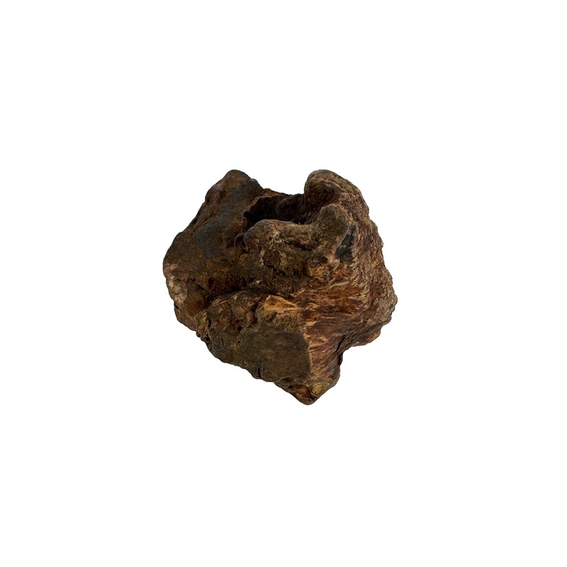 Dog Woodzzz - Kauwwortel Met Olijfolie L. 501-750 GR