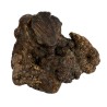 Dog Woodzzz Kauwwortel Met Olijfolie M 301-500 GR