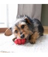 Kong - Classic Rood Small