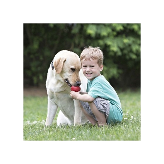 Kong - Classic Rood Small