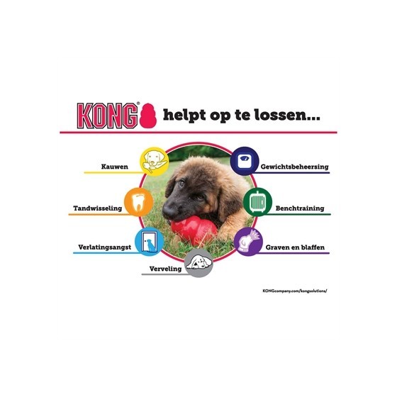 Kong - Classic Rood Small
