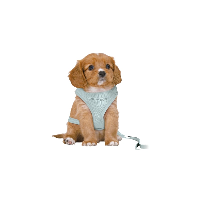 Trixie Hondentuig Junior Puppy Softtuig Met Riem Mintgroen 36-50X1 CM / 2 MTR