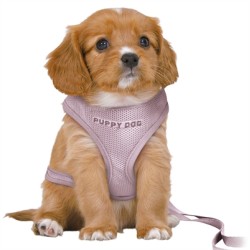 Trixie Hondentuig Junior Puppy Softtuig Met Riem Lila 36-50X1 CM / 2 MTR