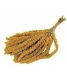 Versele-Laga - Prestige Trosgierst 300gr