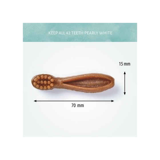Antos Mixed Brush 50 ST
