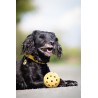 Trixie Gatenbal Natuurrubber Met Bel Voor Blinde Of Gehandicapte Hond 7X7X7 CM