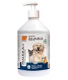 BF Petfood - Zalmolie, 500ml