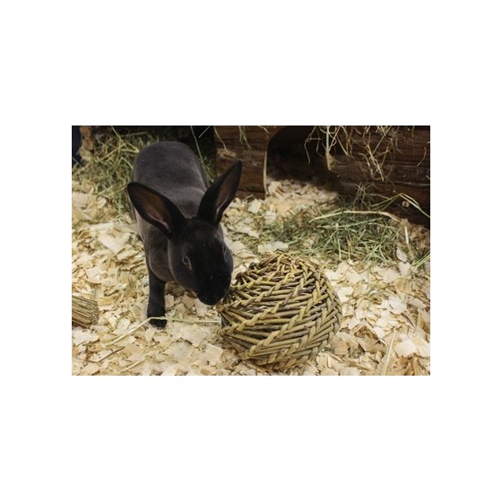 Happy Pet Speelbal Wilg LARGE 14X14X14 CM