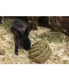 Happy Pet Speelbal Wilg LARGE 14X14X14 CM