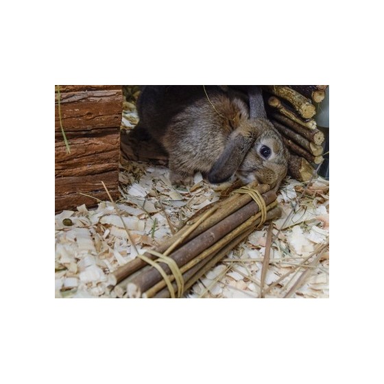 Happy Pet Wilgen Value Pack 2 Sticks / 2 Ballen 26X9X9 CM