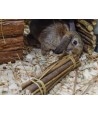 Happy Pet Wilgen Value Pack 2 Sticks / 2 Ballen 26X9X9 CM