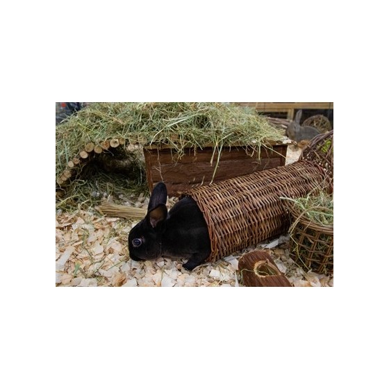 Happy Pet Wilgen Tunnel LARGE 32X15X15 CM