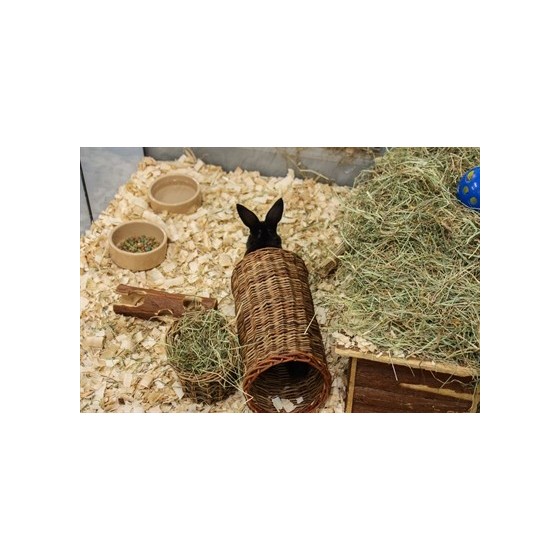Happy Pet Wilgen Tunnel LARGE 32X15X15 CM