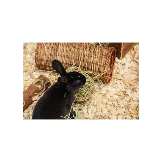 Happy Pet Wilgen Tunnel LARGE 32X15X15 CM