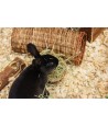 Happy Pet Wilgen Tunnel LARGE 32X15X15 CM