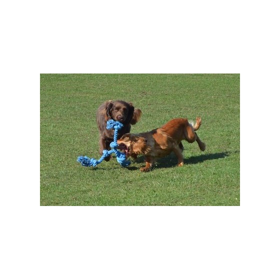 Happy Pet Flossin Fun 3 Knoop LARGE 52X14 CM