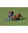 Happy Pet Flossin Fun 3 Knoop LARGE 52X14 CM