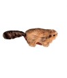 Kong Kat Catnip Bever 16,5X4,5X4 CM