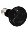 Komodo Nachtgloed Lamp Es 50 WATT