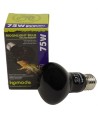 Komodo Nachtgloed Lamp Es 75 WATT