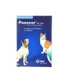 Panacur - Hond / Kat. 250mg