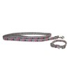 Little Rascals Puppy Halsband Met Lijn Roze 22,5-36 CM