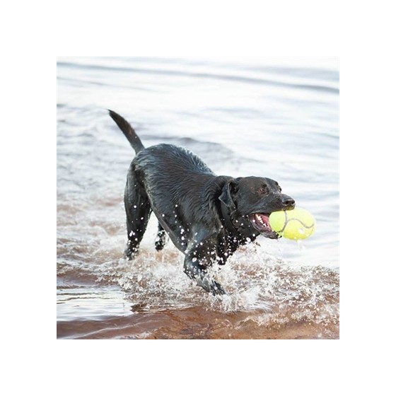 Kong Airdog Football Geel SMALL 9X5,5 CM