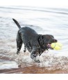 Kong Airdog Football Geel SMALL 9X5,5 CM