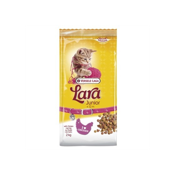 Lara - Kitten 2 KG