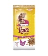 Lara - Kitten 2 KG