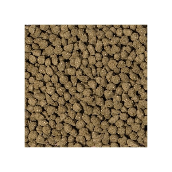 Beaphar - Care+ Konijn Senior 1,5kg