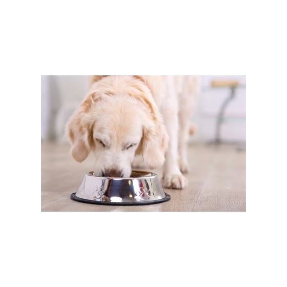 Happy Pet Voerbak Antislip 14 CM