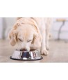 Happy Pet Voerbak Antislip 14 CM