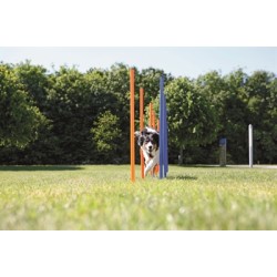 Trixie - Dog Activity Agility Slalom Stokken Blauw / Oranje. 115x3 CM 12 ST
