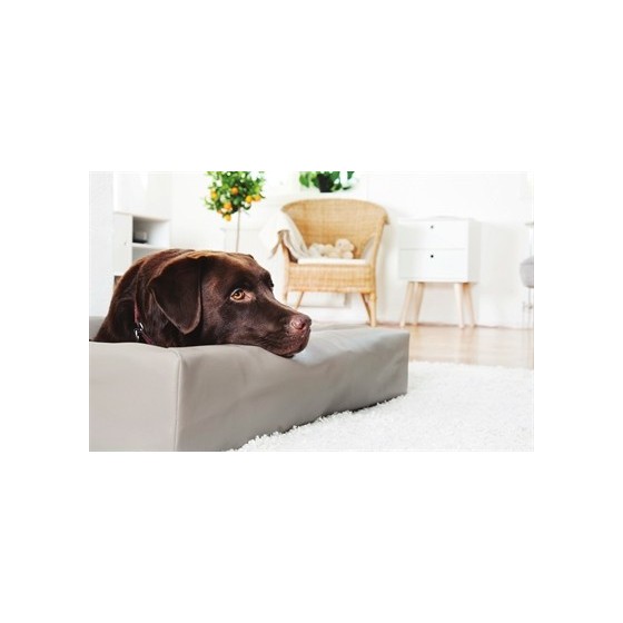 Bia Bed Kunstleer Hoes Hondenmand Taupe BIA-4 85X70X15 CM