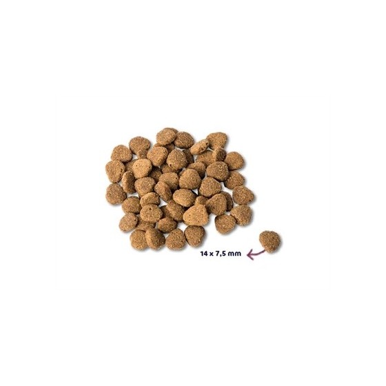Renske Super Premium Adult Eend / Konijn 2 KG