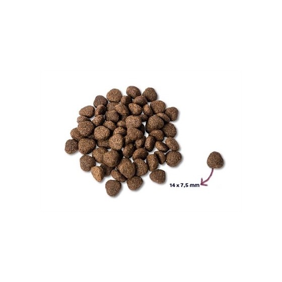 Renske Super Premium Adult Zalm Graanvrij 12 KG
