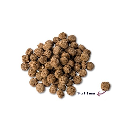 Renske Super Premium Adult Oceaanvis 12 KG