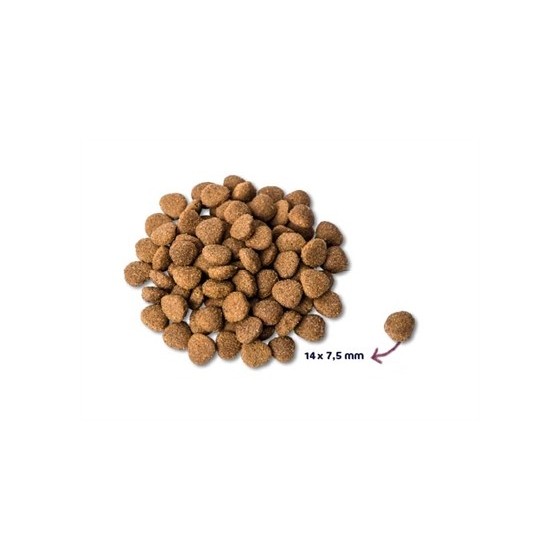 Renske Super Premium Adult Kalkoen / Eend 12 KG