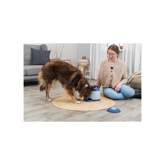 Trixie Dog Activity Memory Trainer 3.0 20X24 CM