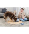 Trixie Dog Activity Memory Trainer 3.0 20X24 CM