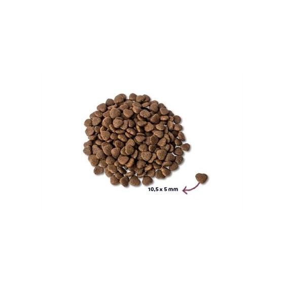 Renske Super Premium Adult Verse Zalm Graanvrij 6 KG