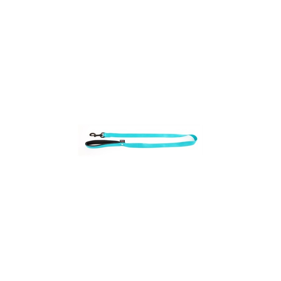 Martin Hondenriem Nylon Turquoise 120X1,6 CM