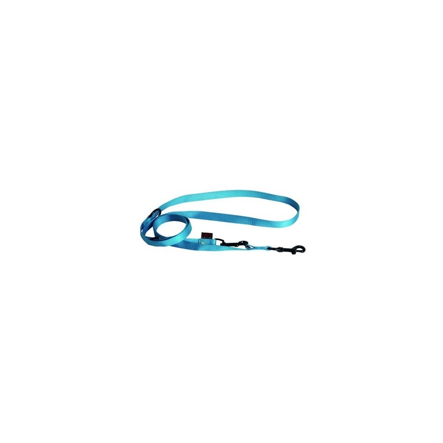 Martin Hondenriem Multipurpose Nylon Turquoise 200X2 CM