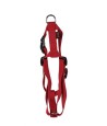 Martin Hondentuig Basic Nylon Rood 35-50X1,6 CM