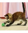 Kong Kat Tennisballen Met Bellen 4X4X4 CM 3 ST