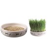 Trixie Kattengraszaad 50Gr In Keramiek 15X15X4 CM